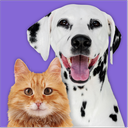 Pet Parade app icon