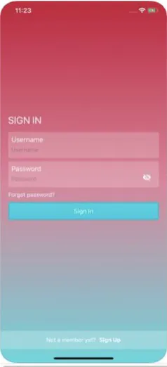Ask-Fast iOS app screenshot