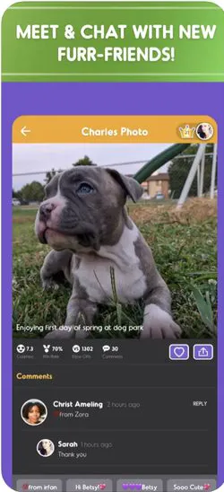 Pet Parade iOS app screenshot, social platform for pet parents